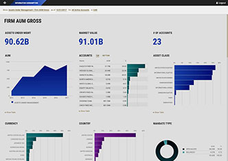 Eagle Investment Systems